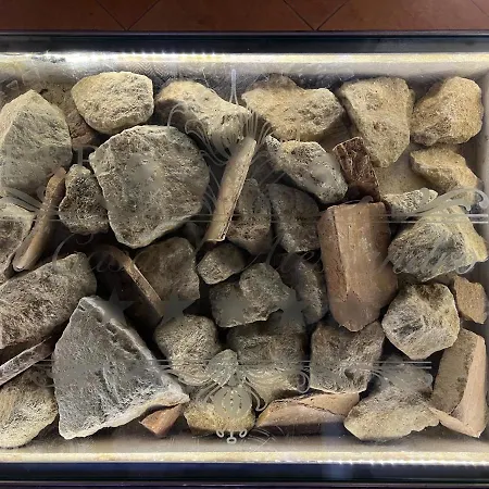 A Casa Di Alessandro 5*