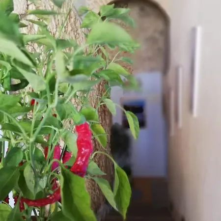 A Casa Di Alessandro Couette-café 5*