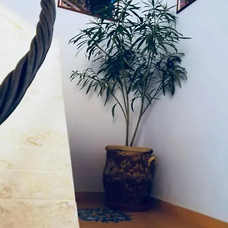 A Casa Di Alessandro