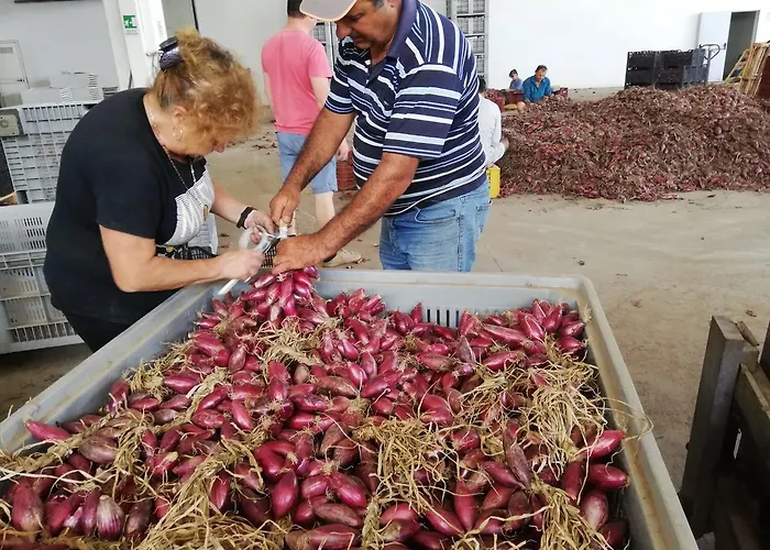 A Casa Di Alessandro Alojamento de Acomodação e Pequeno-almoço Tropea